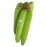 Green Banana Case