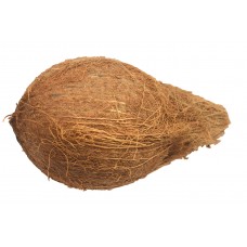 Dried Coconuts Case