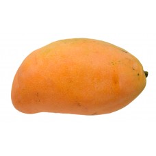 Mangoes (Hayden) Case
