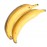 Plantain Case