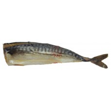 Salt Mackerel Headless