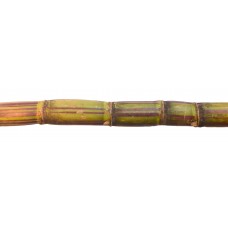Sugar Cane (1 bundle)