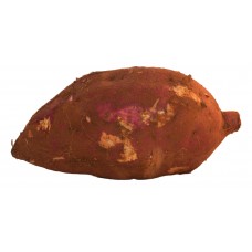 Jamaican Sweet Potato Case