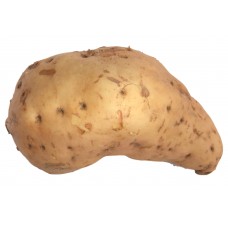 Ugandan Sweet Potato Case
